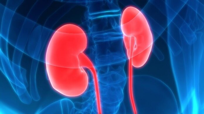 Kidney Transplant Market-1e69dd16