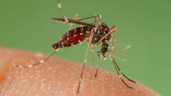 Zika Virus Vaccines Market-489e09f6