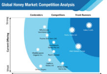 Honey Market Globally Expected to Drive Growth through 2019-2029