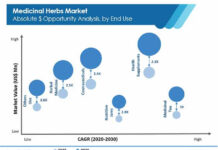 Medicinal Herbs Market is poised to grow at a Healthy CAGR between 2020 and 2030