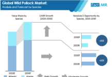 Wild Pollock Market Globally Expected to Drive Growth through 2020-2030
