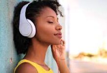 Rabbit MP3 Delivers the Best Music for Free