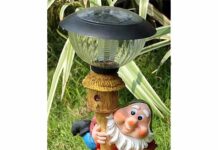 Garden Gnomes – Why do I need them?